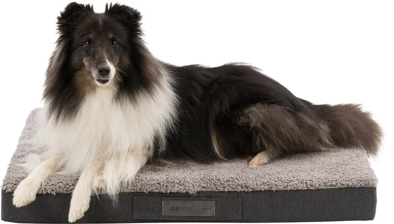 Vital Matelas Bendson