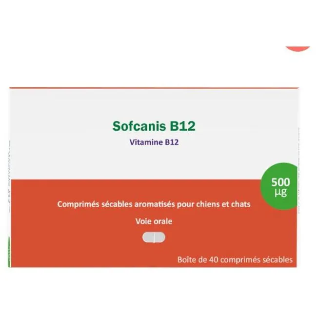 Sofcanis B 12