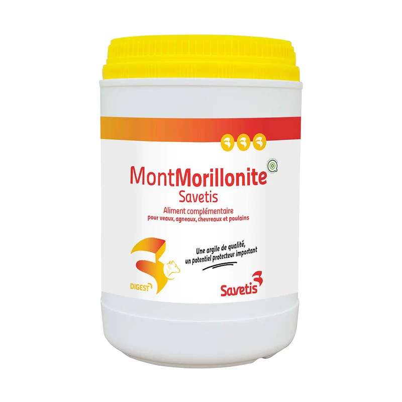 Montmorillonite Chat