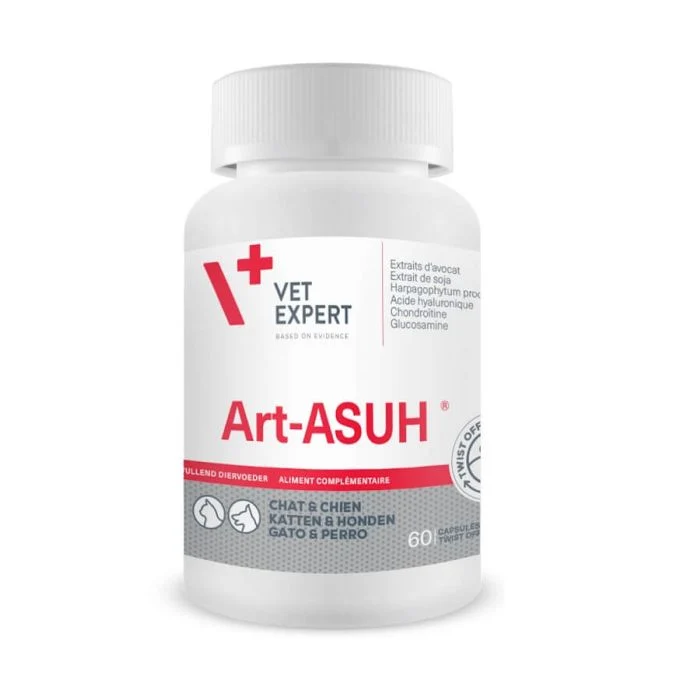 Art Asu XL