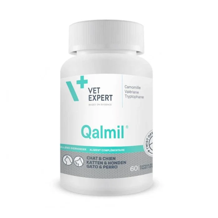 Qalmil Chat Chien