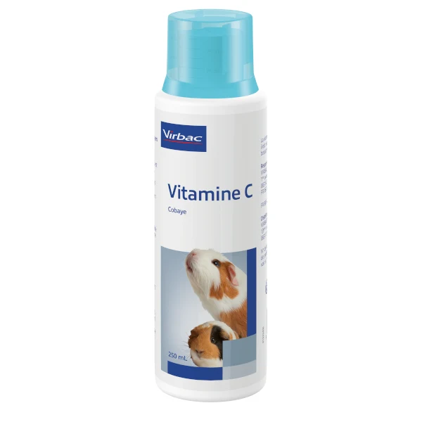 Vitamine C Cobaye