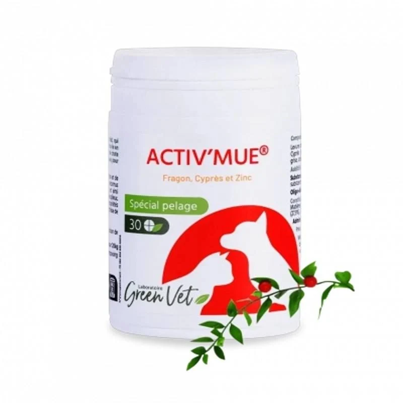 Activ'Mue Chat & Chien