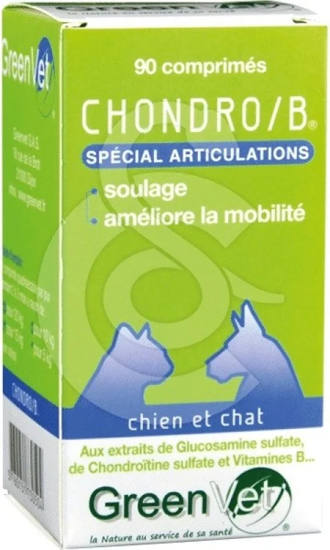 Chondro B Chat & Chien