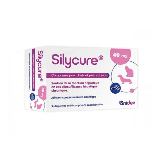 Silycure