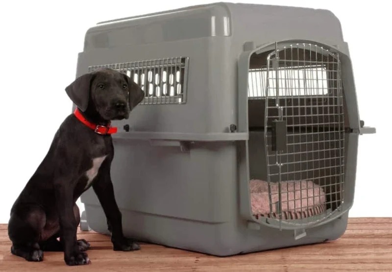 Caisse de transport pour chien Skykennel