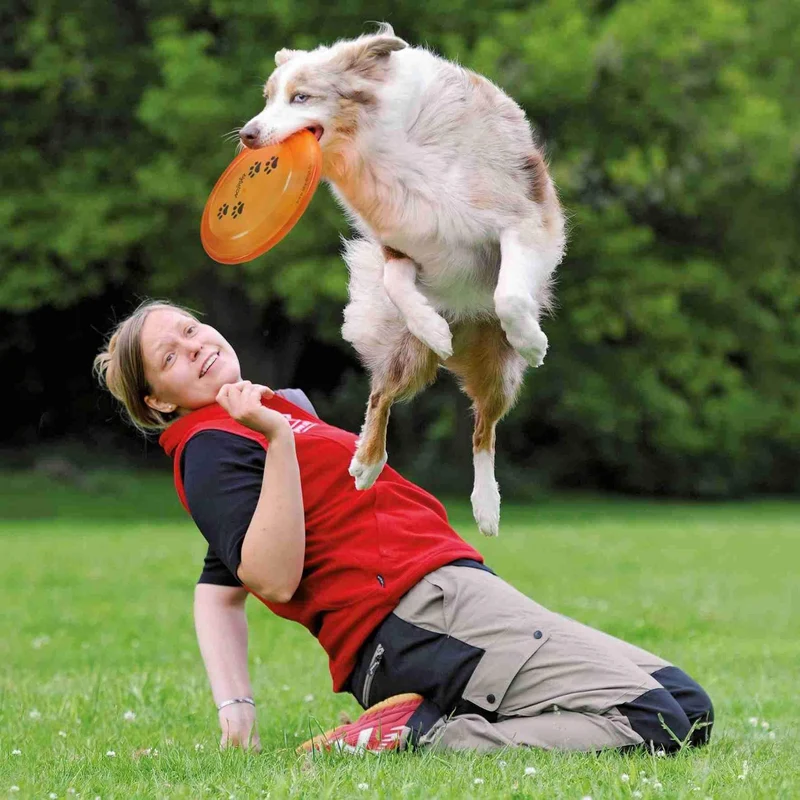 Frisbee pour compétition Dog Disc