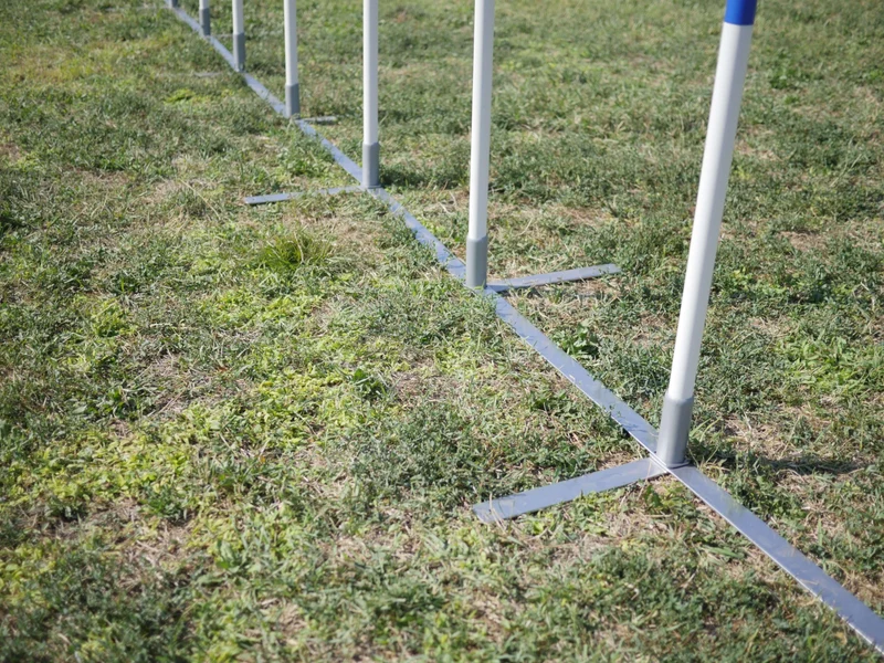 Agility Run Slalom couloir d'entrainement