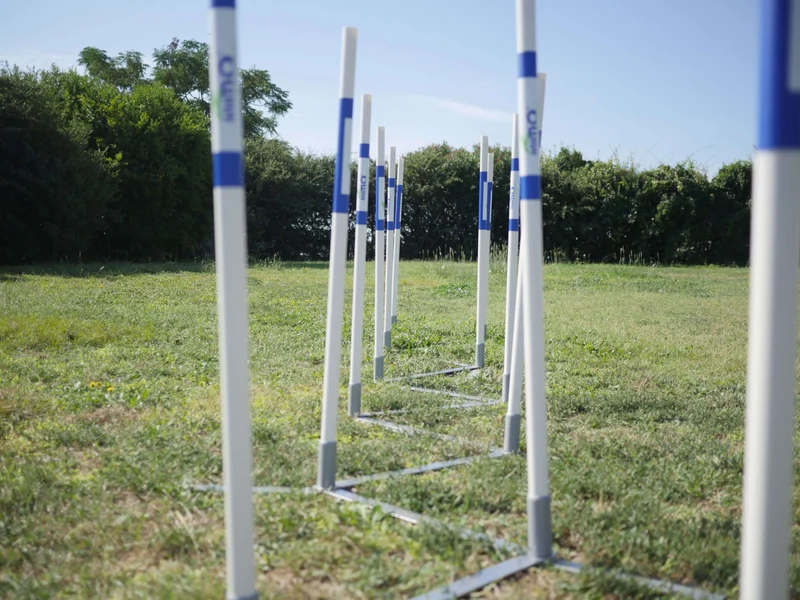 Agility Run Slalom couloir d'entrainement