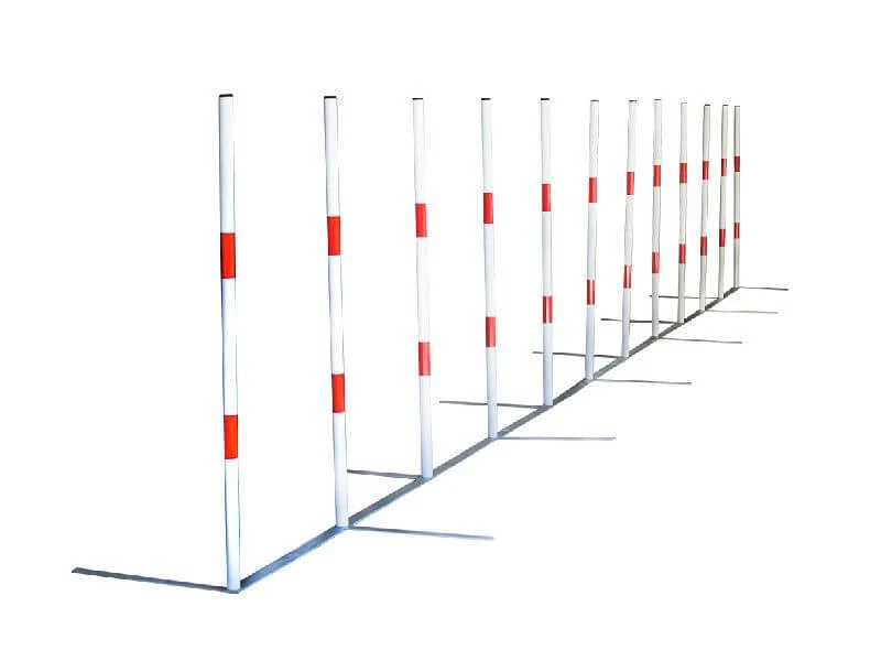 Agility Run Slalom couloir d'entrainement
