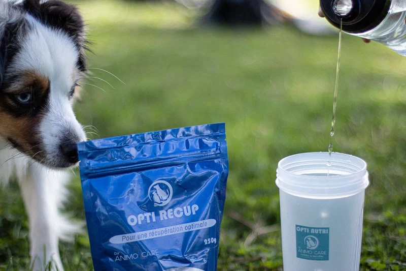 Opti Recup