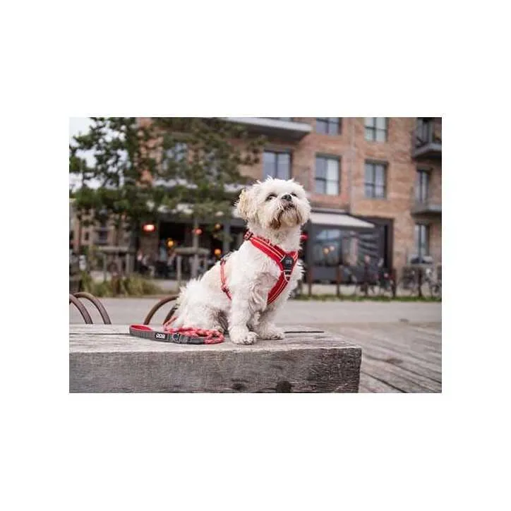 Dog Copenhagen Harnais confort Walk Air