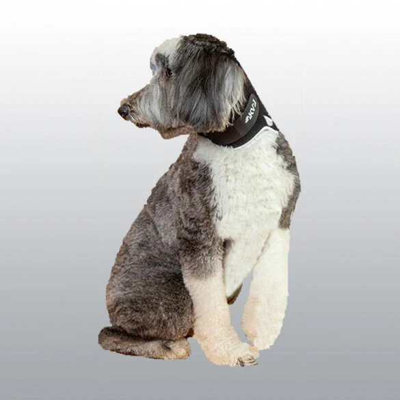 Minerve Balto Eco