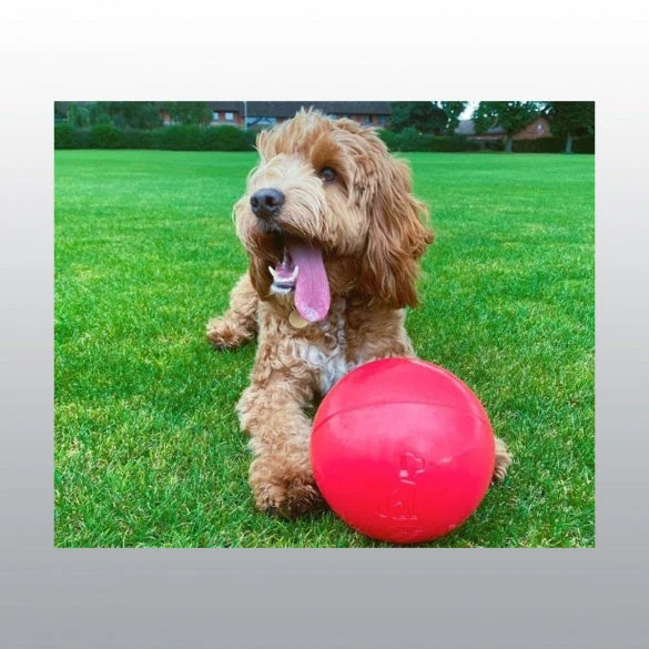 Jouet Boomer Ball