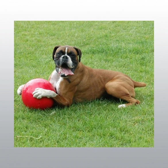 Jouet Boomer Ball