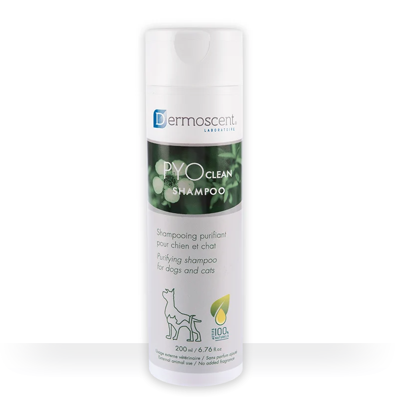 Dermoscent Pyoclean Shampoing