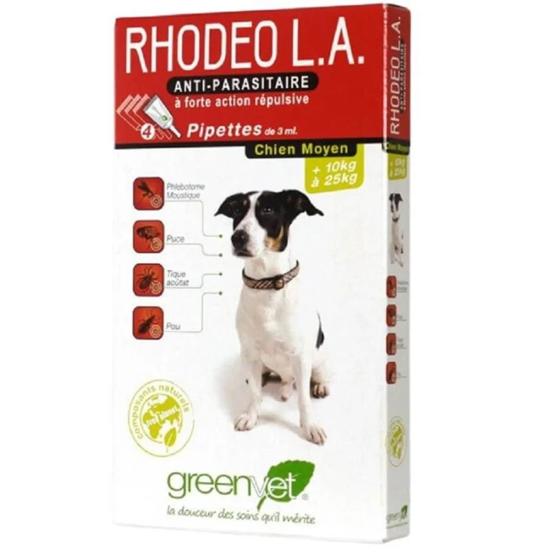 Rhodeo l.a Chien