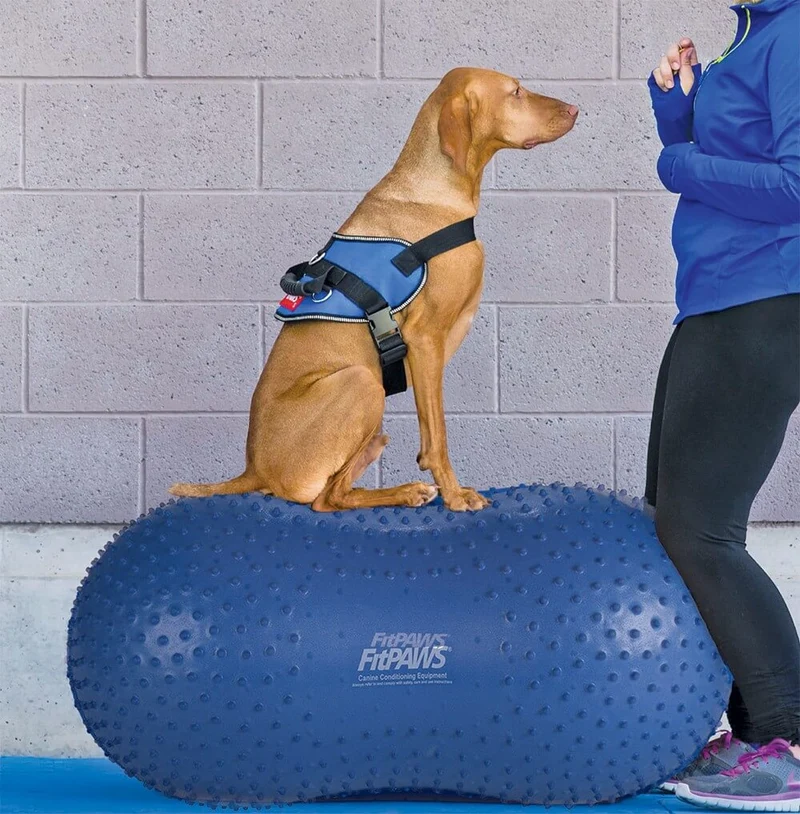 FitPaws TraxPeanut
