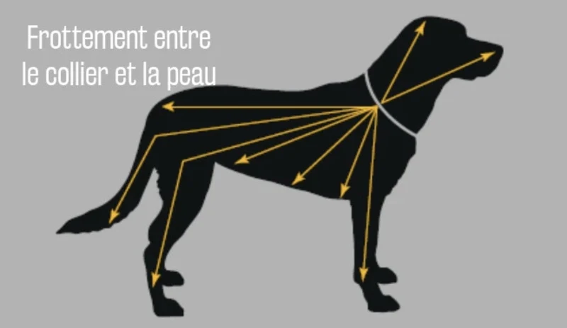 Scalibor Collier anti tiques grand chien