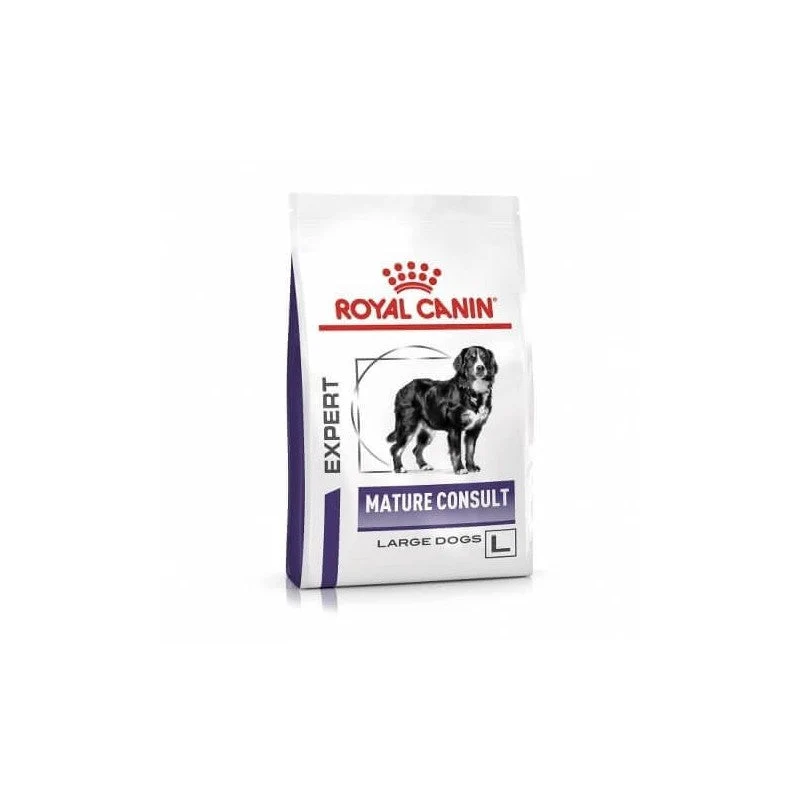 Ehn Chien Adulte Large