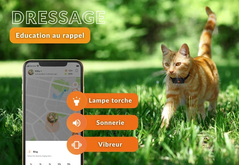 Gps Weenect Chat