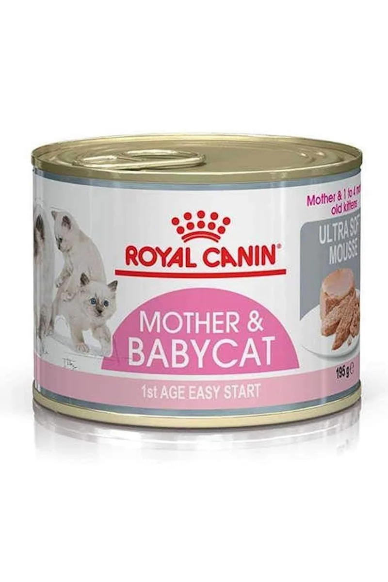 Hn Motherbabycat