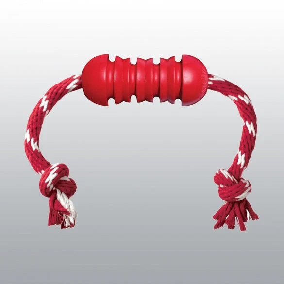 Jouet Dental Kong