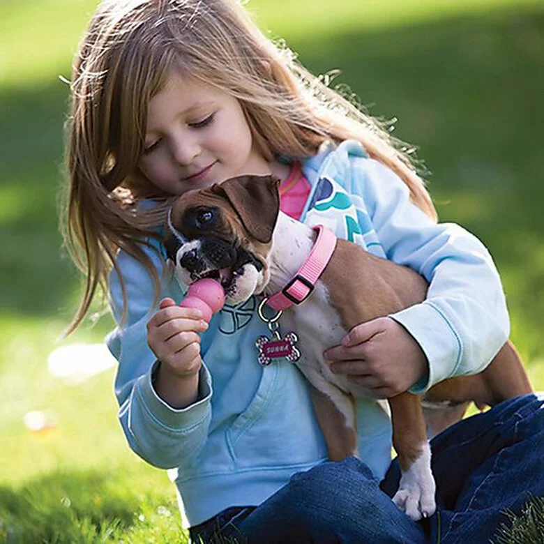 Jouet Kong Puppy