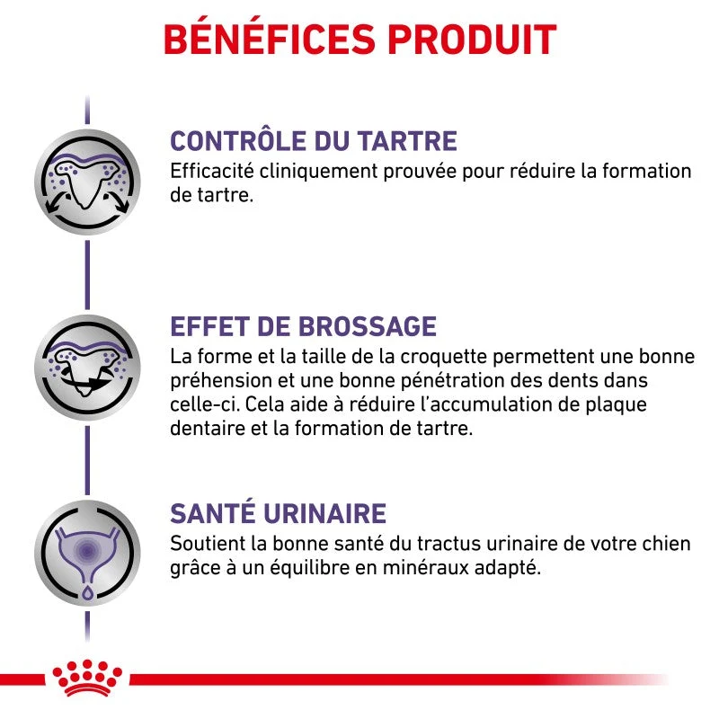 Royal Canin Ehn Chien Small Dental