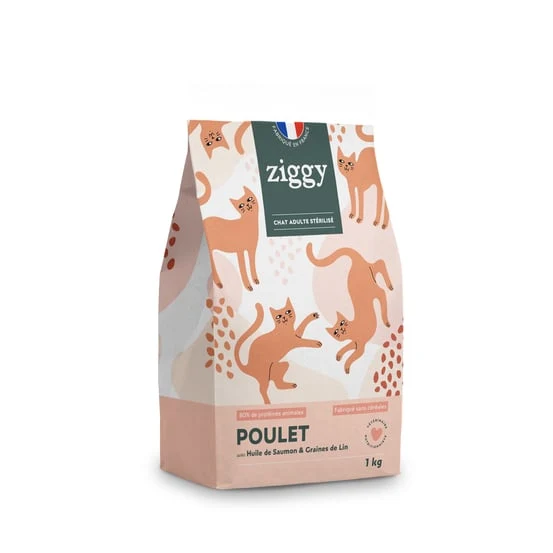 Ziggy Chat Adulte Stérilisé