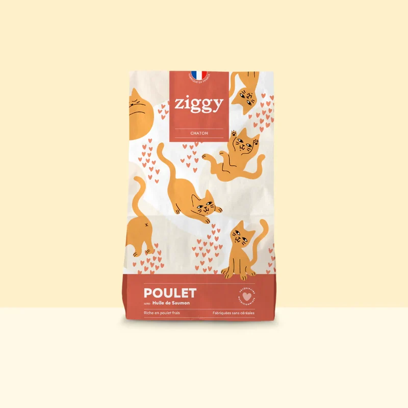 Ziggy Chaton - Poulet