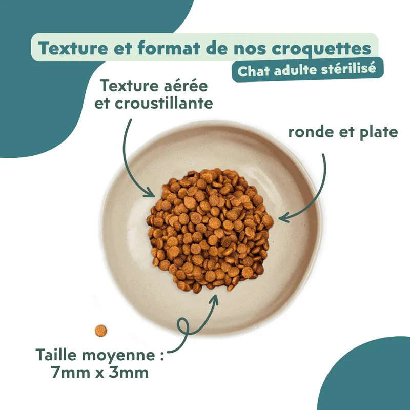 Ziggy Chat Adulte Stérilisé Saumon Croquettes