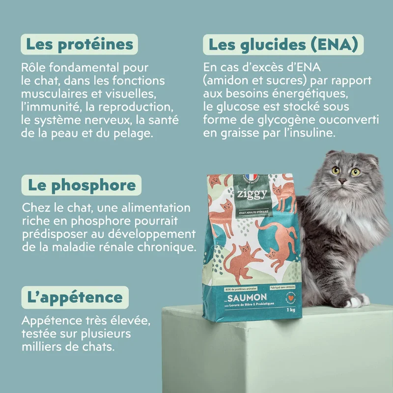 Ziggy Chat Adulte Stérilisé Saumon Croquettes