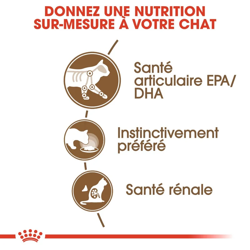 Royal Canin Ageing 12+