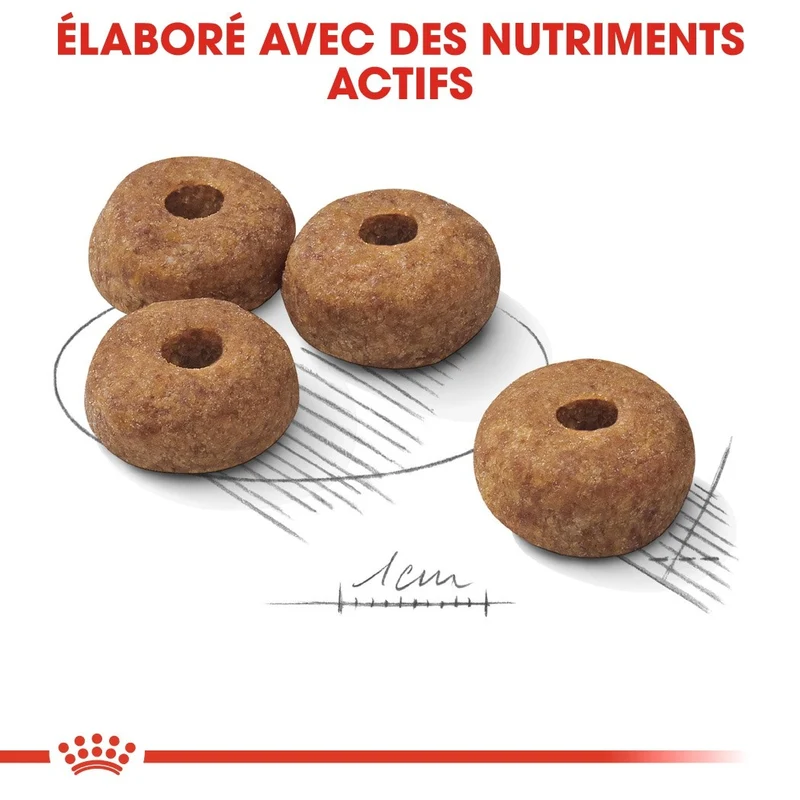 Royal Canin Medium Sterilised - Croquettes pour chien