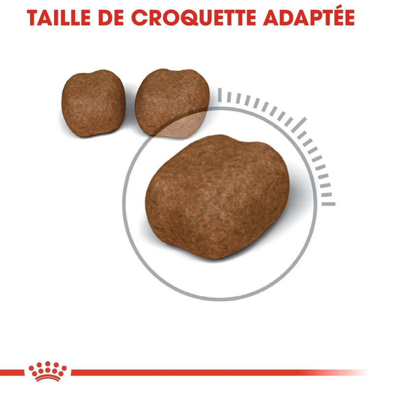 Royal Canin Oral Care