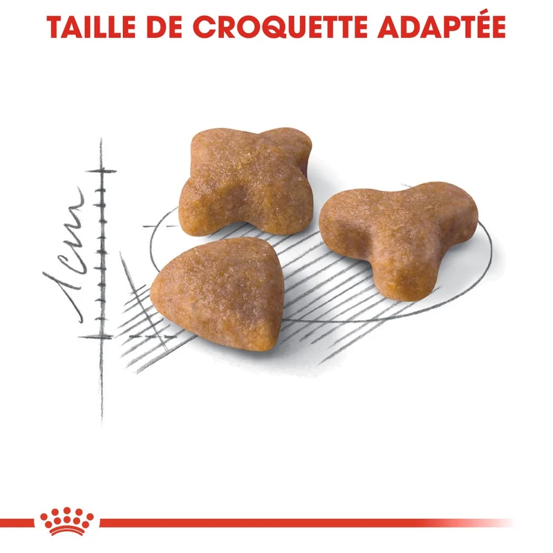 Royal Canin Sensible 33