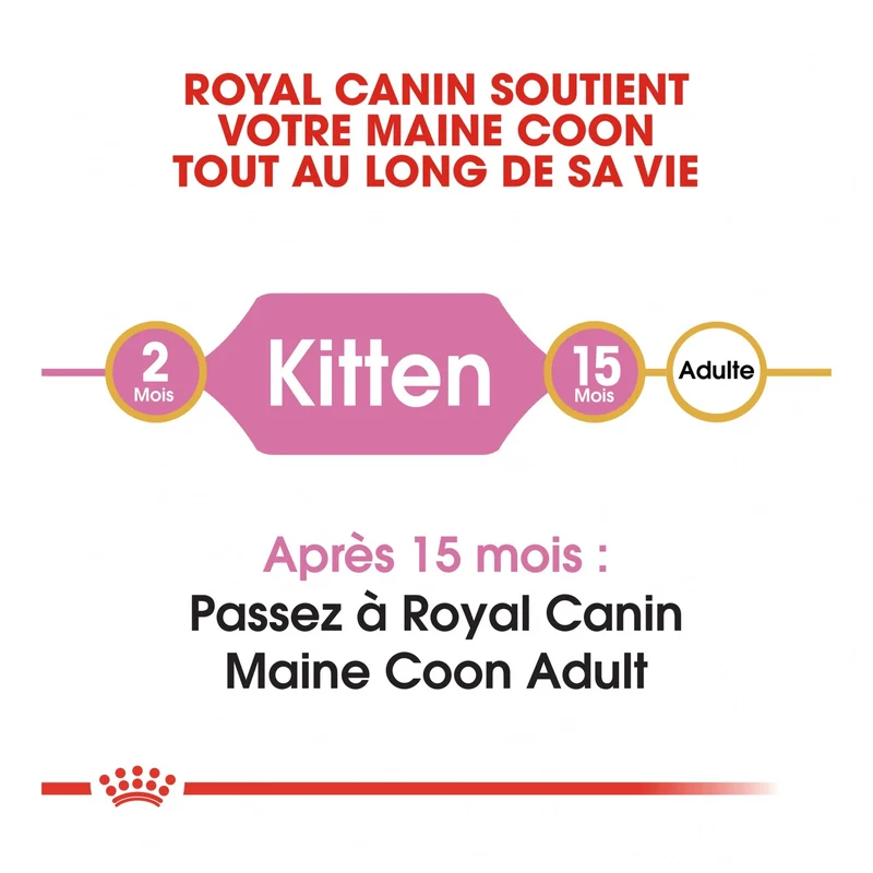 Royal Canin Maine Coon Kitten