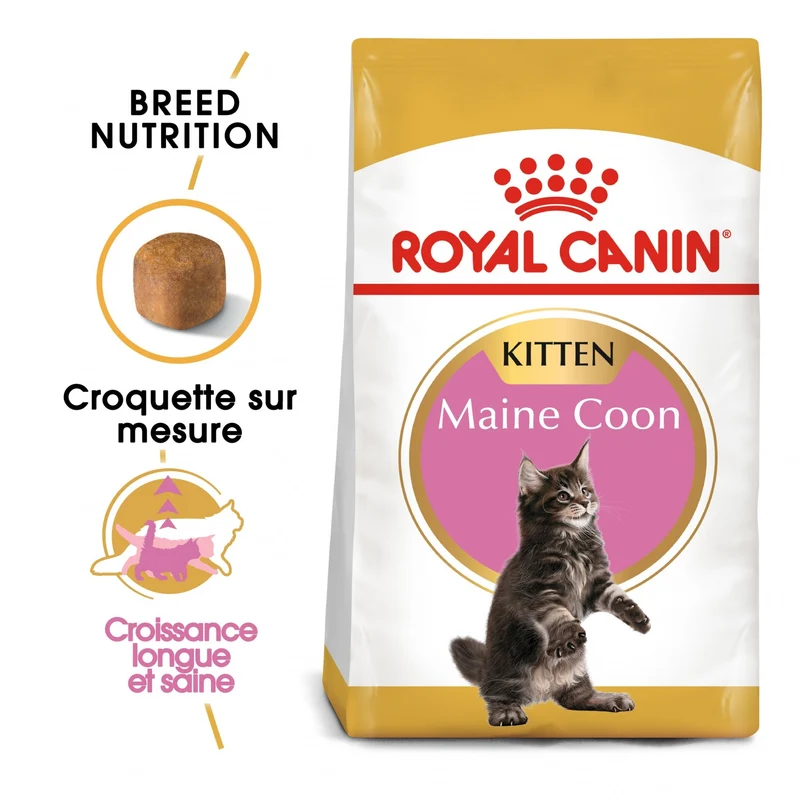 Royal Canin Maine Coon Kitten