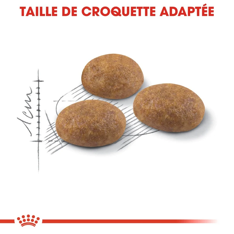 Royal Canin Outdoor