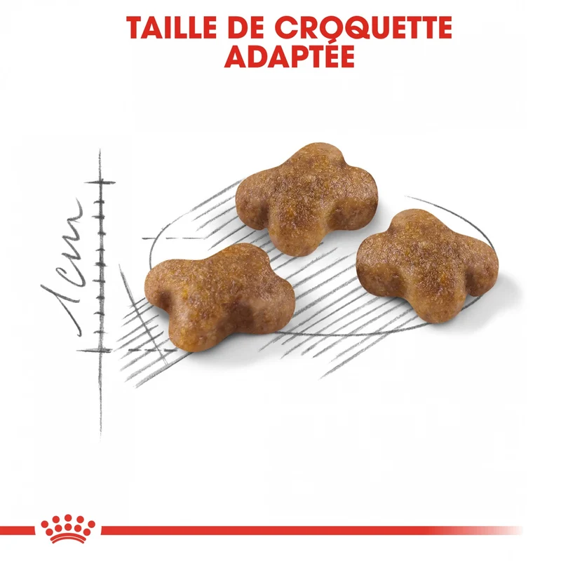 Royal Canin Kitten Second Age