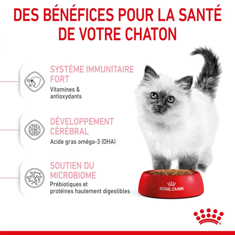Royal Canin Kitten Second Age