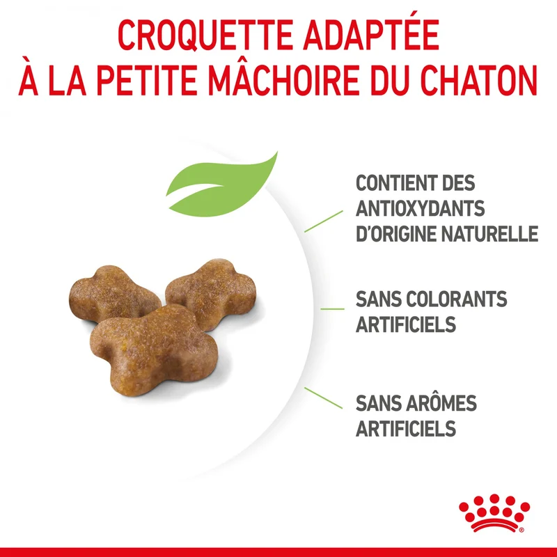 Royal Canin Kitten Second Age