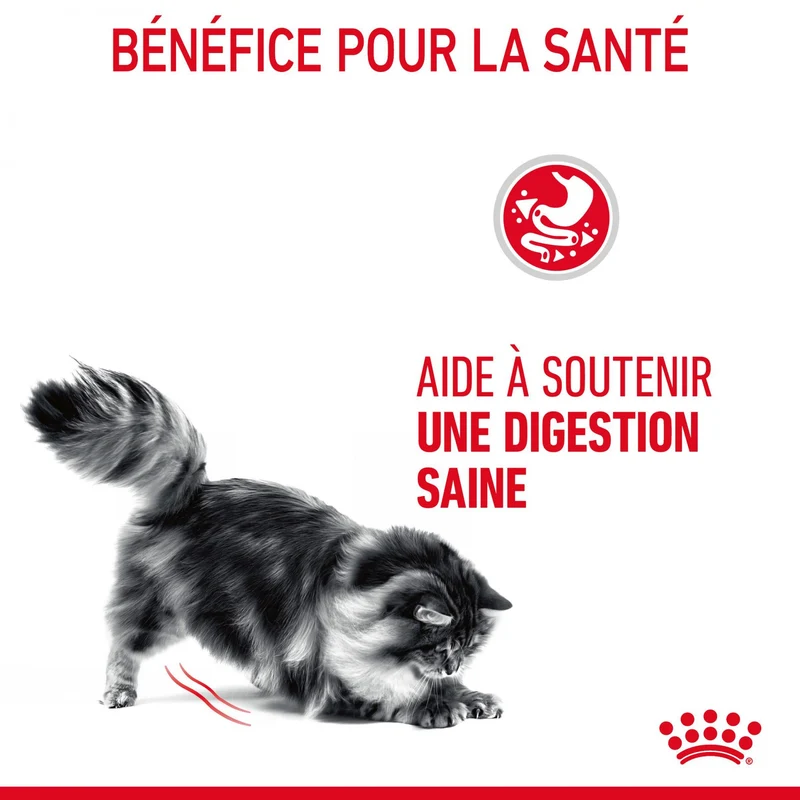 Royal Canin Digest Sensitive