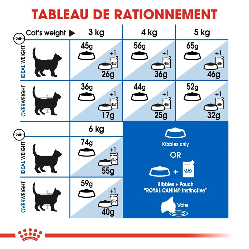 Royal Canin Indoor 27