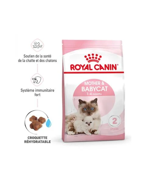ROYAL CANIN Mother & BabyCat - Croquettes pour chatte et chaton