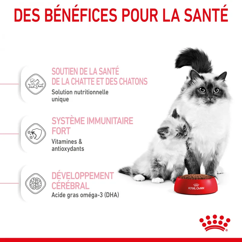 ROYAL CANIN Mother & BabyCat - Croquettes pour chatte et chaton