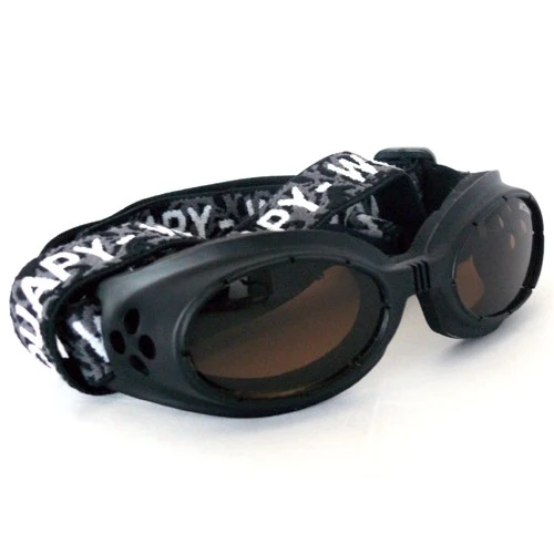 Lunettes de soleil pour chien