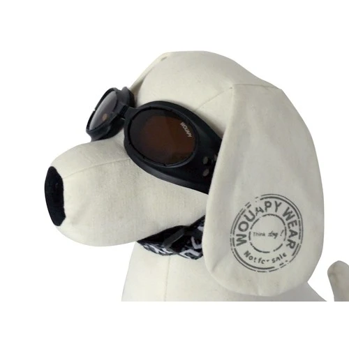 Lunettes de soleil pour chien
