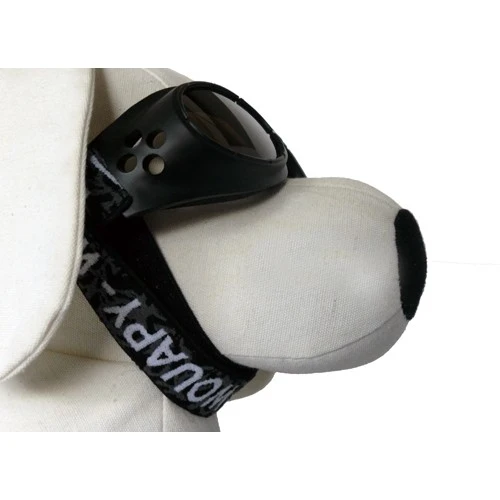 Lunettes de soleil pour chien